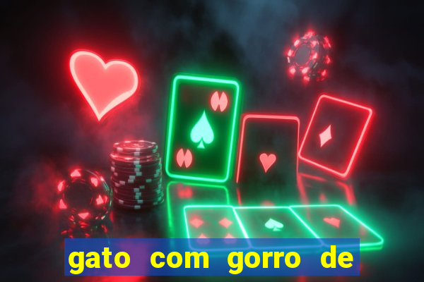 gato com gorro de natal meme