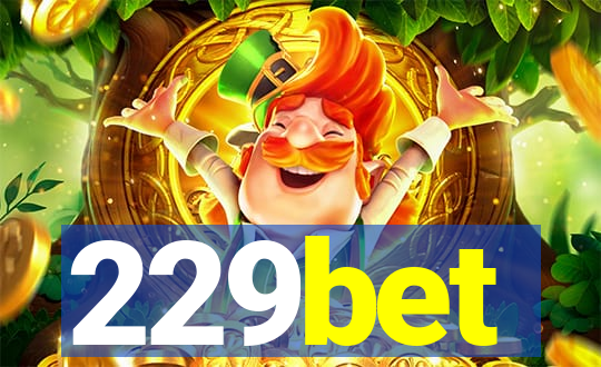 229bet