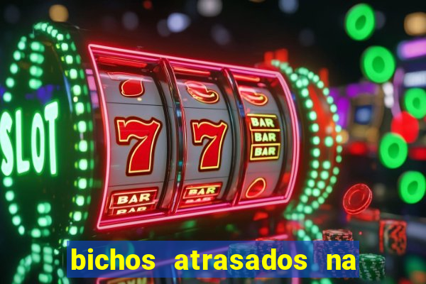 bichos atrasados na loteria federal