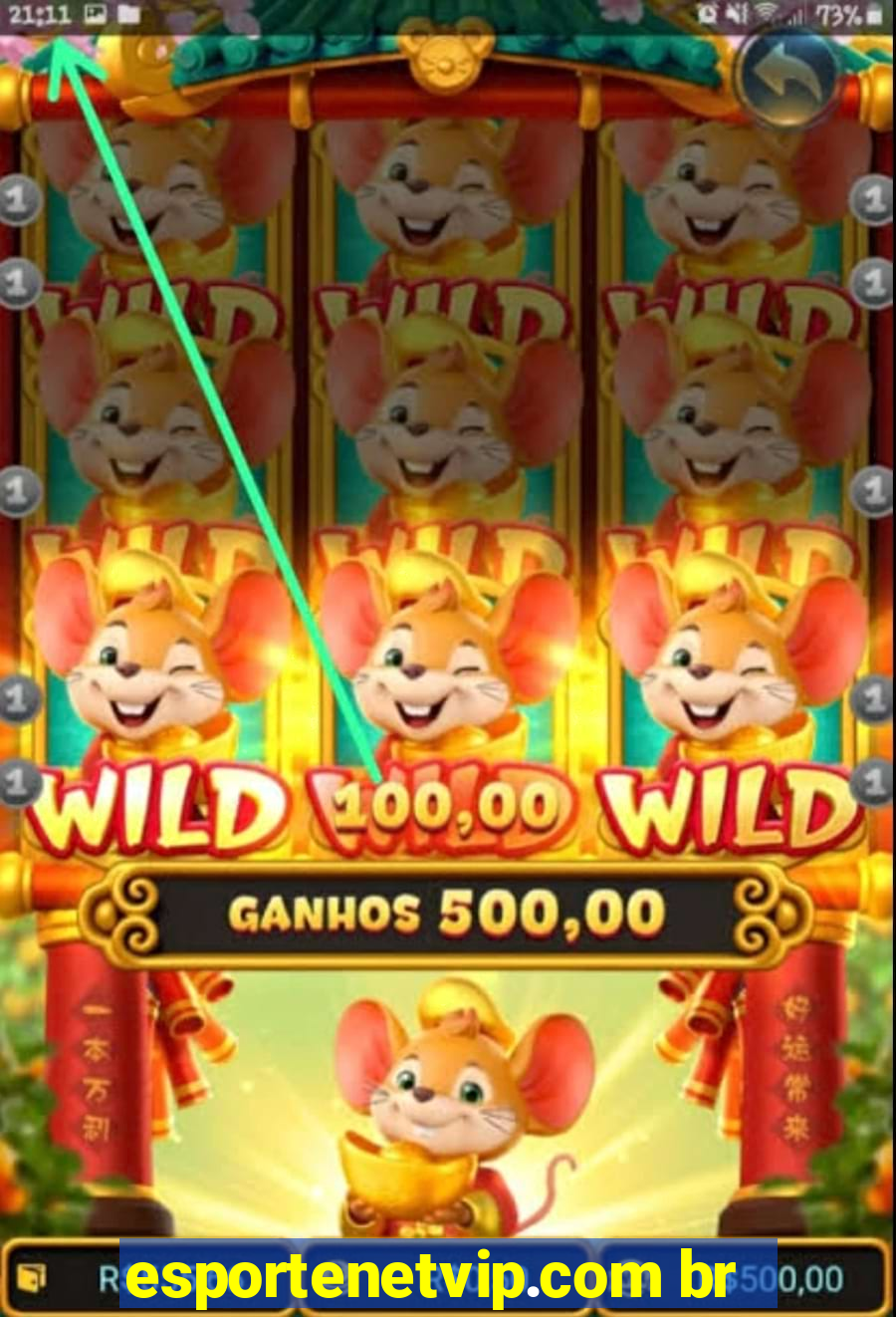esportenetvip.com br