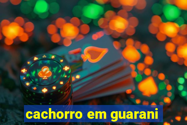 cachorro em guarani