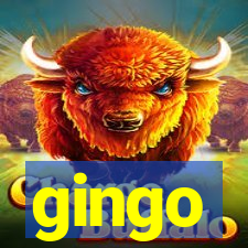 gingo