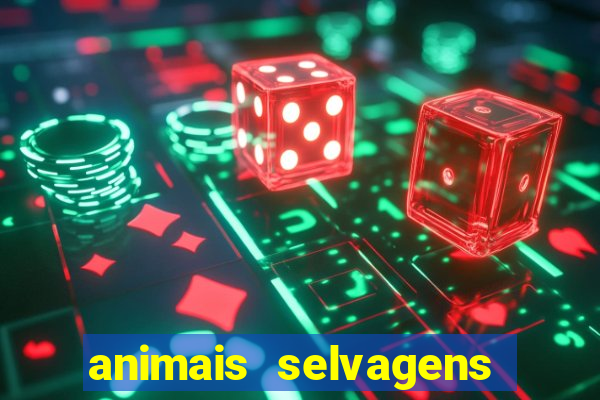 animais selvagens fotos e nomes