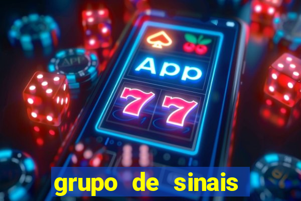 grupo de sinais fortune rabbit