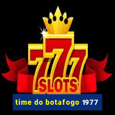 time do botafogo 1977