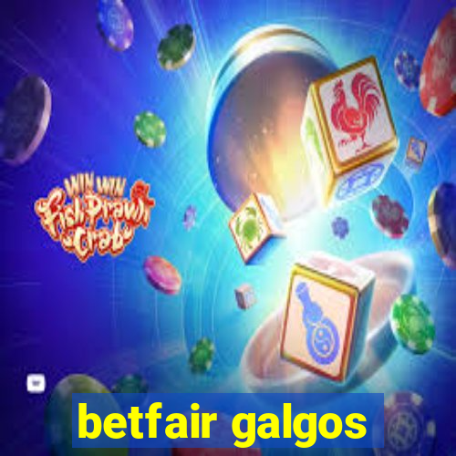 betfair galgos